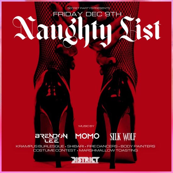 Have you been Naughty? Want to go to the Wildest Holiday Party EVER?